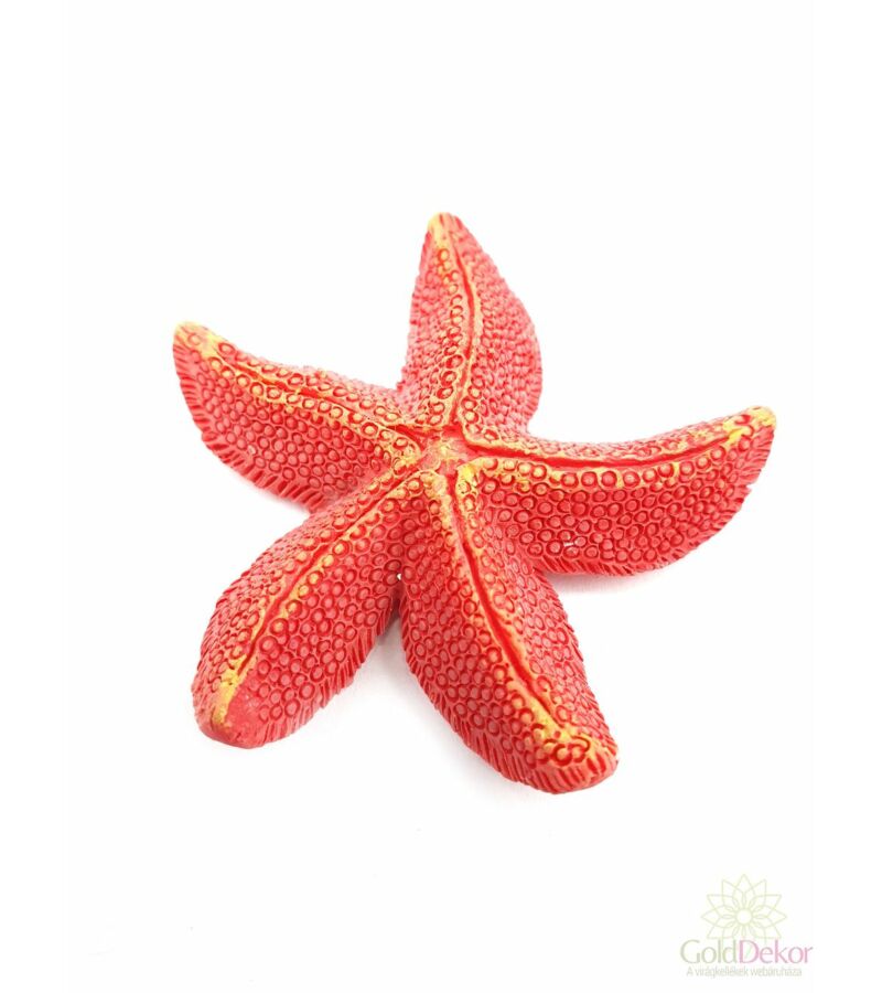 Korall színű tengeri csillag 